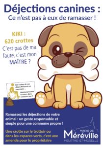 affiche A3 dejections canines